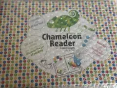 2026年最新】カメレオンリーダーの人気アイテム - メルカリ