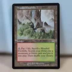 2026年最新】フェッチランドの人気アイテム - メルカリ