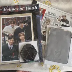 2026年最新】exoの人気アイテム - メルカリ
