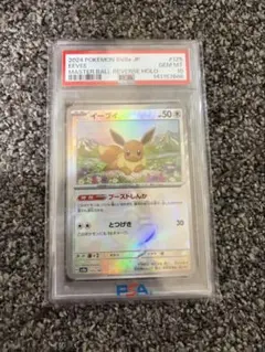 2026年最新】マスターボール psa10 イーブイの人気アイテム - メルカリ