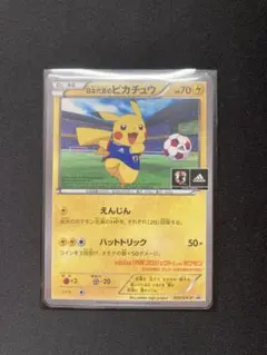 m60903454875_1.jpg?1771123426