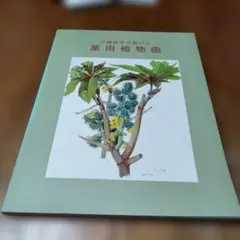 2026年最新】小磯良平の描いた薬用植物画の人気アイテム - メルカリ
