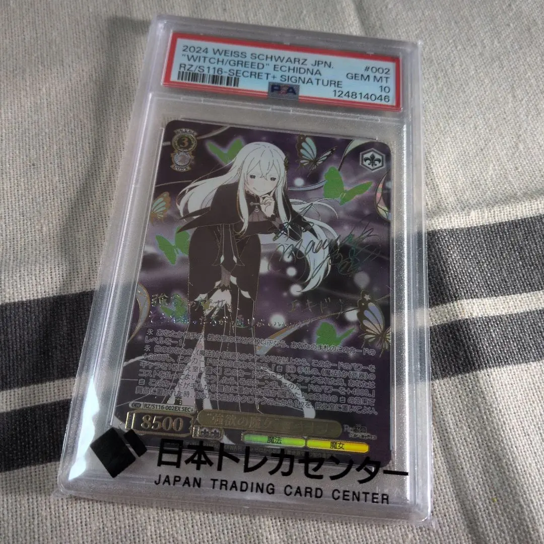 2026年最新】エキドナ sec psa10の人気アイテム - メルカリ