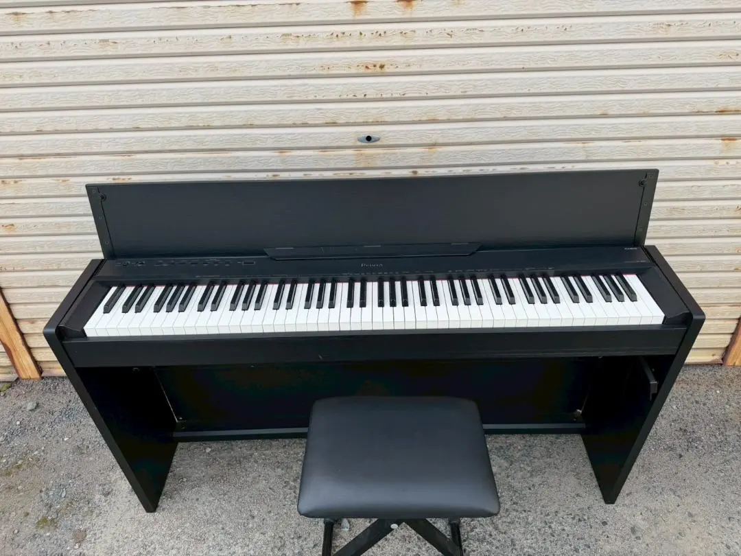 2026年最新】casio px-830の人気アイテム - メルカリ