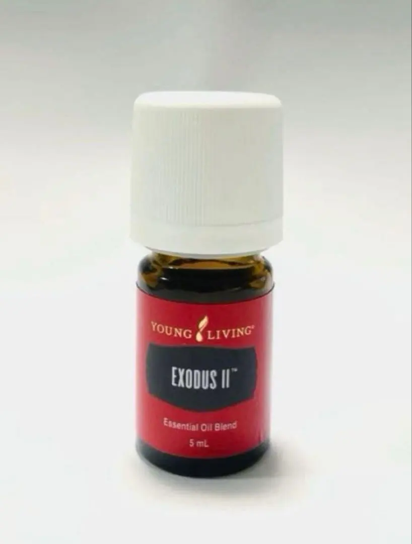 2026年最新】エクソダス ヤングの人気アイテム - メルカリ