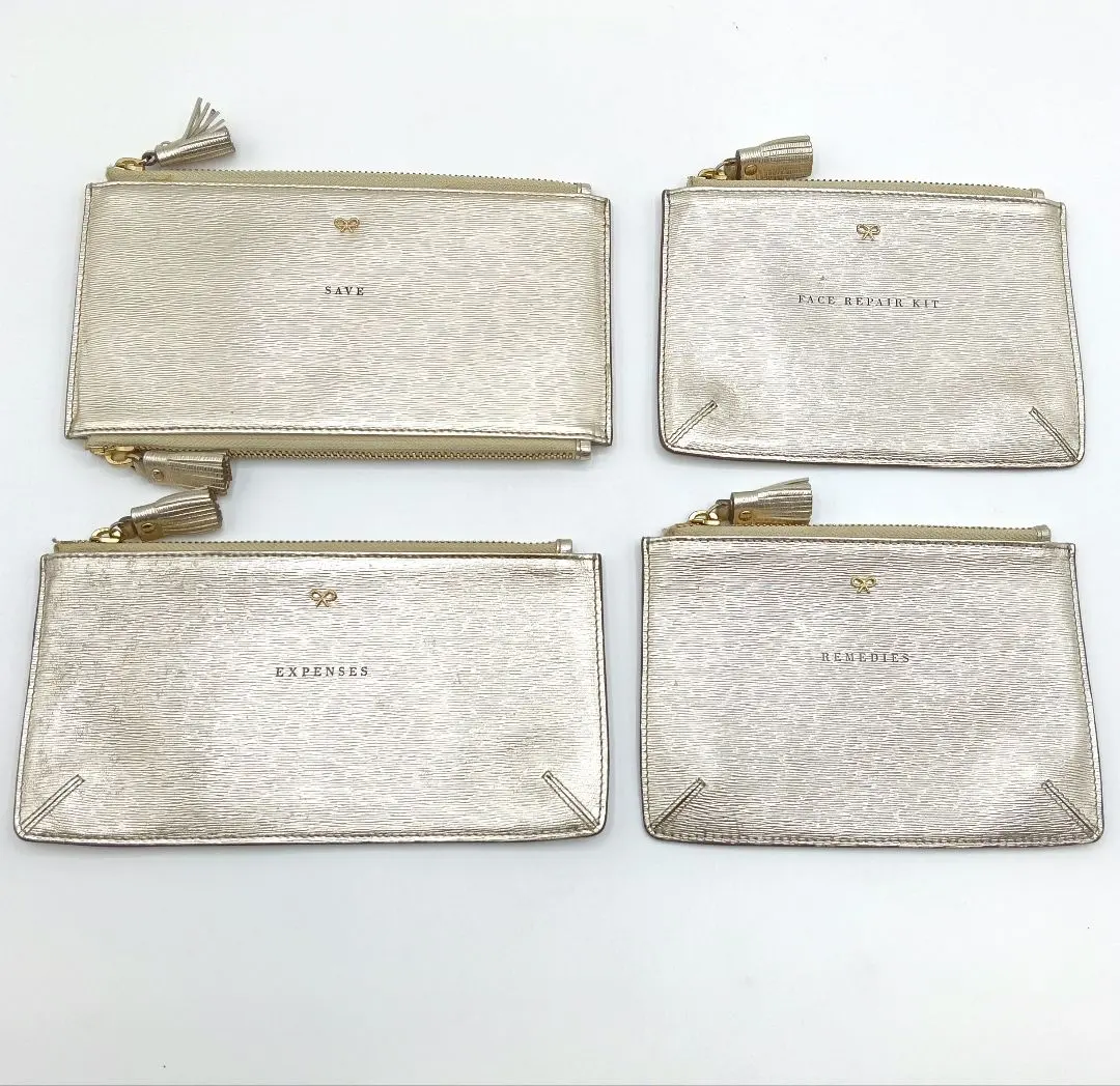 2026年最新】アニヤハインドマーチ ポーチ クリアの人気アイテム