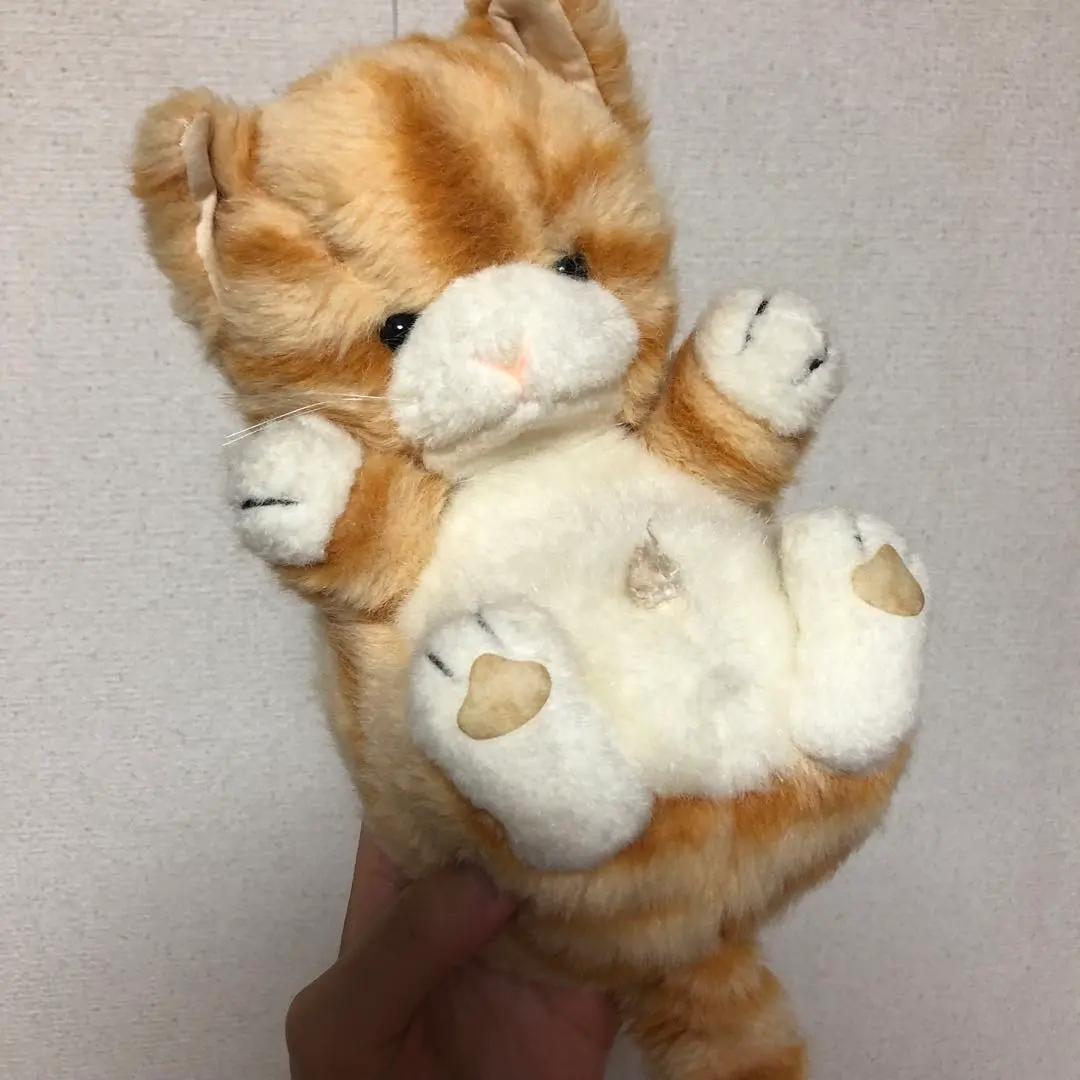 2026年最新】ファースト社 ぬいぐるみ ねこの人気アイテム - メルカリ