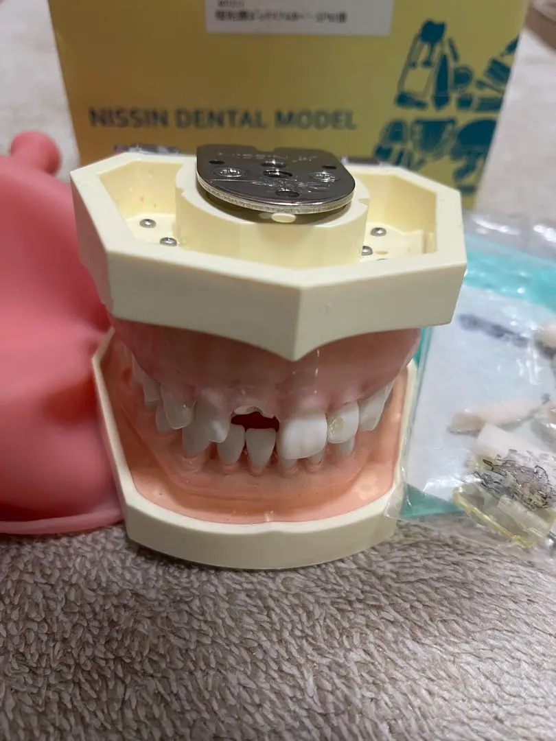 2026年最新】顎模型 ニッシンの人気アイテム - メルカリ