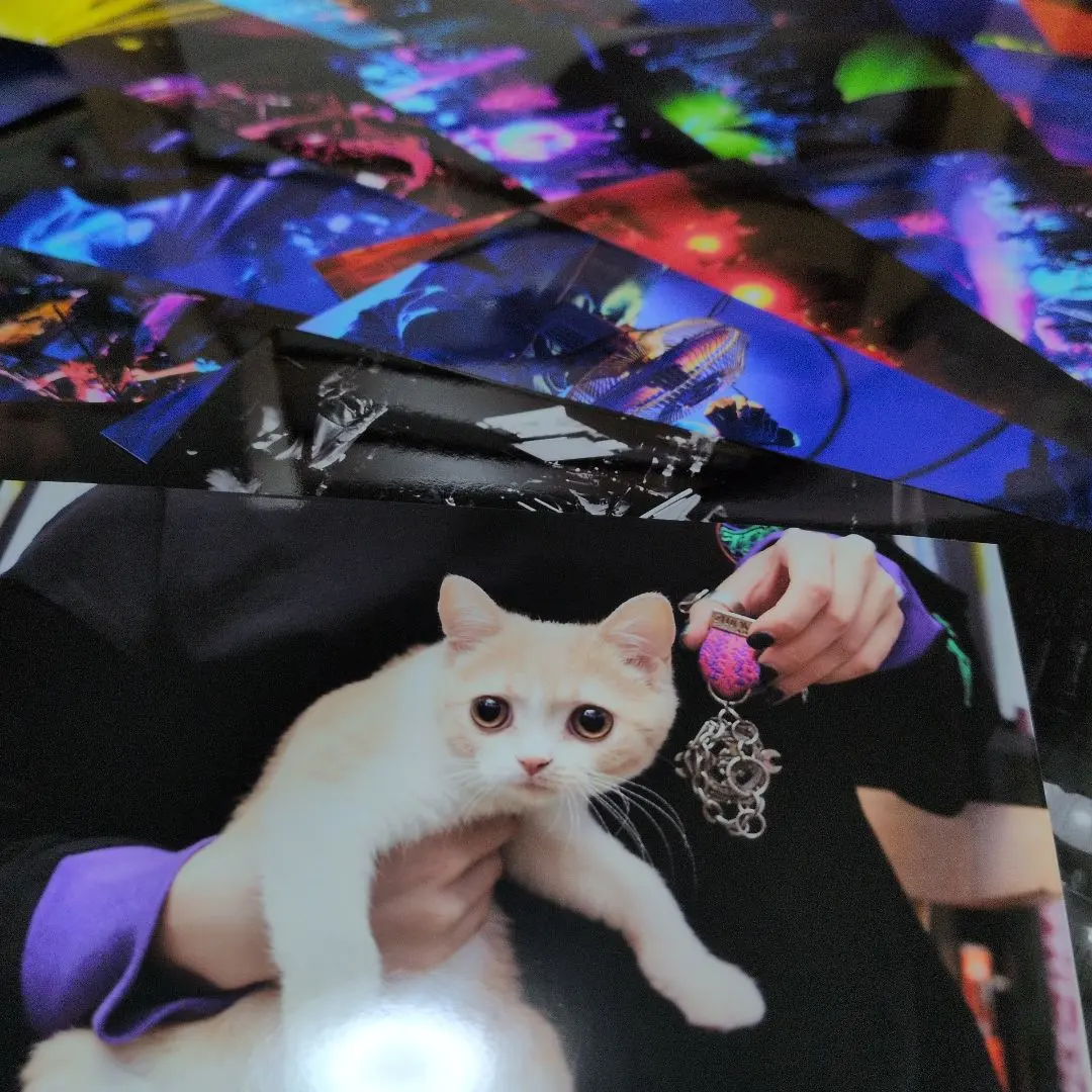 2026年最新】acaね チェキの人気アイテム - メルカリ