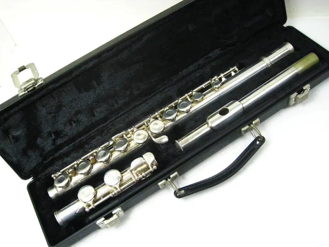 2026年最新】ゲマインハート フルートの人気アイテム - メルカリ