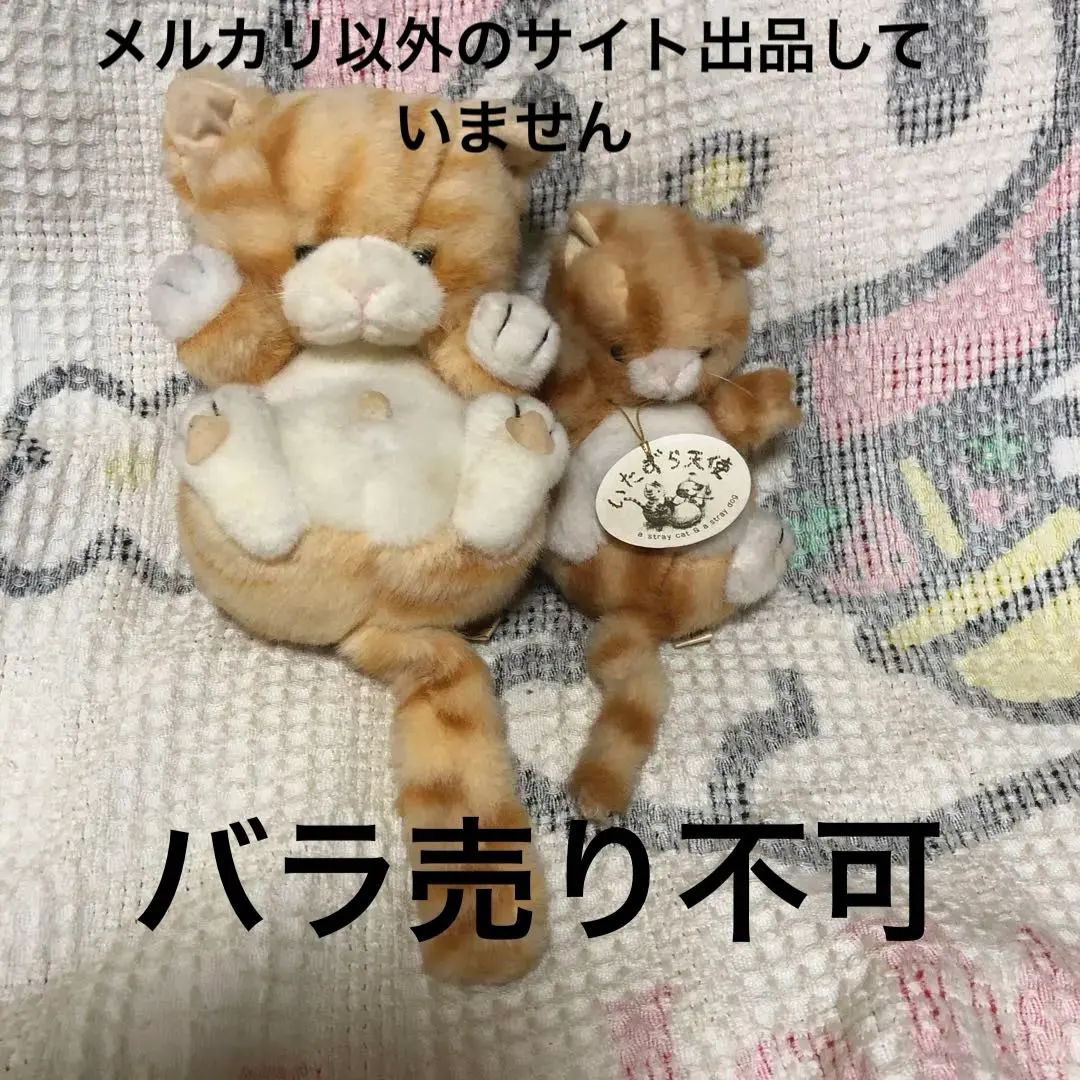 2026年最新】ファースト社 ぬいぐるみ ねこの人気アイテム - メルカリ