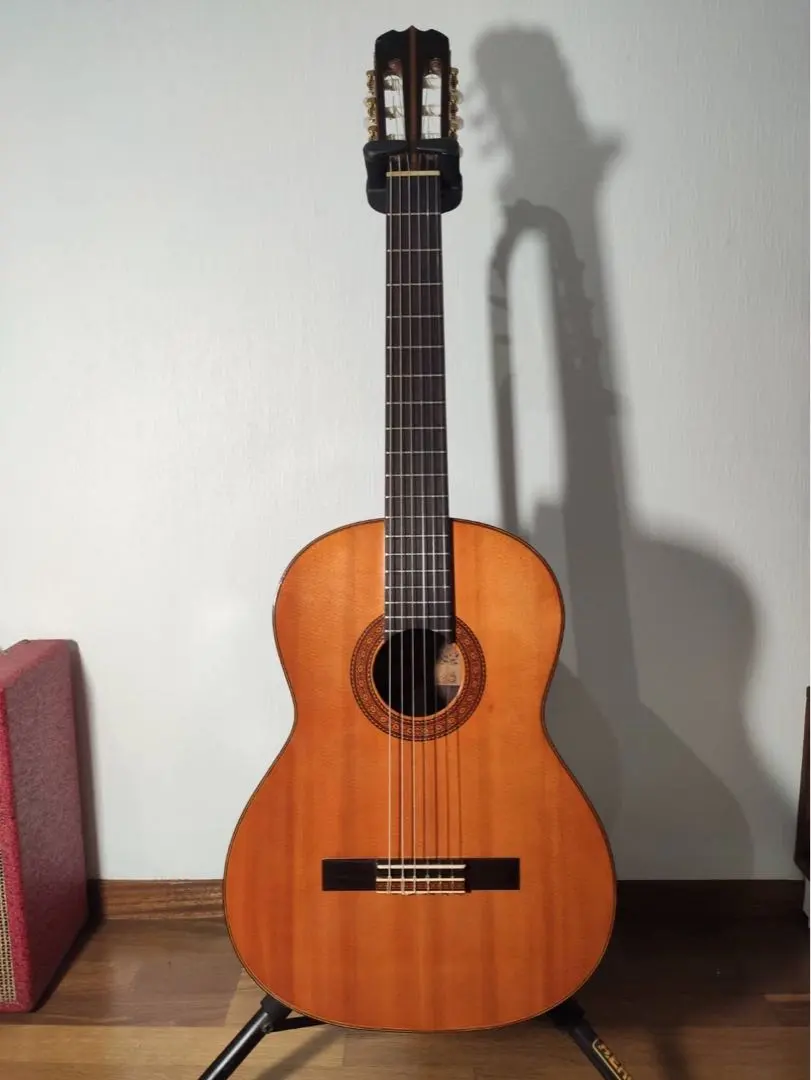 2026年最新】takamine eliteの人気アイテム - メルカリ