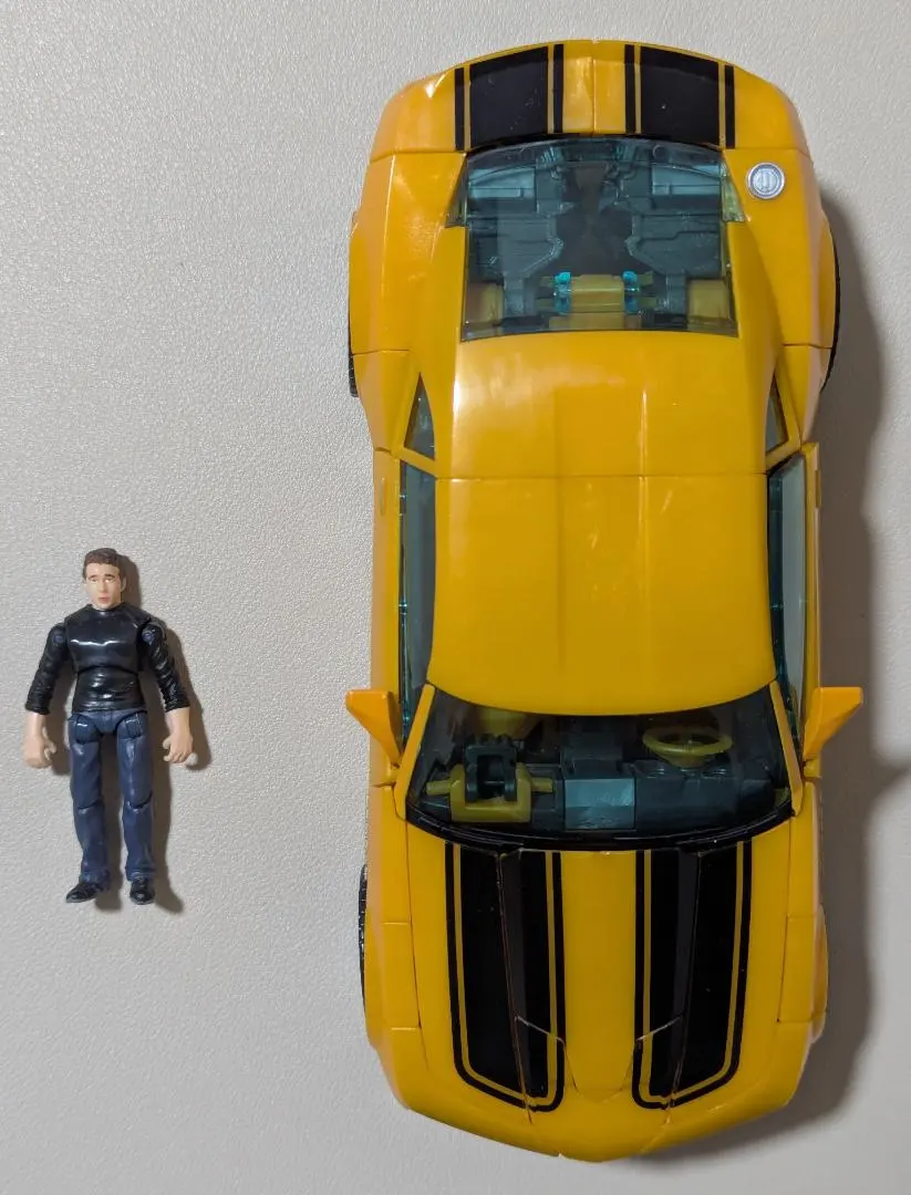 2026年最新】ヒューマンアライアンスの人気アイテム - メルカリ