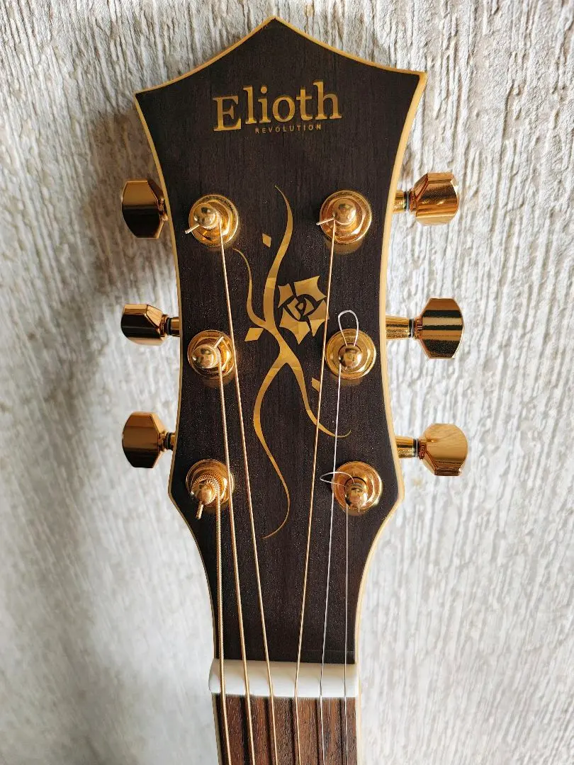 2026年最新】elioth guitarの人気アイテム - メルカリ