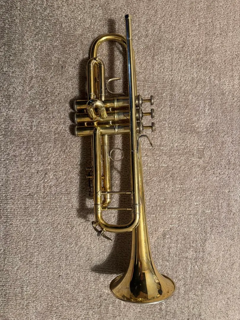 2026年最新】stradivarius bach 37の人気アイテム - メルカリ