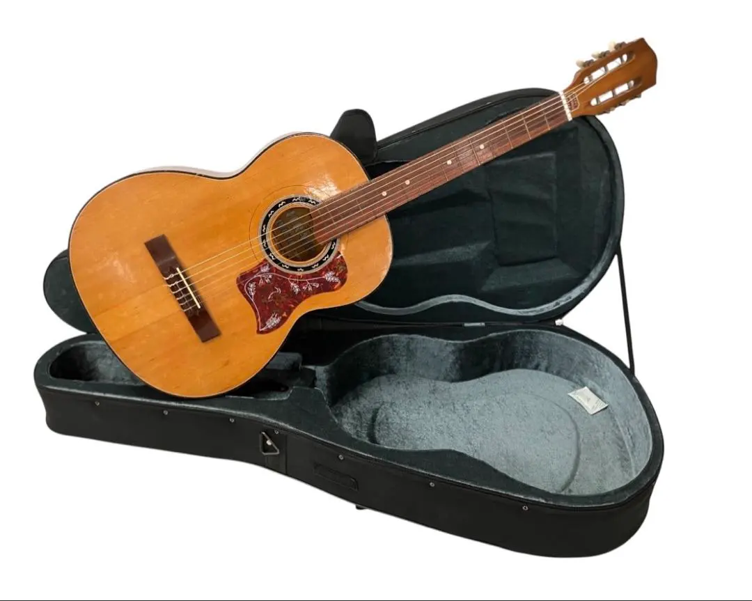 2026年最新】terada ギターの人気アイテム - メルカリ