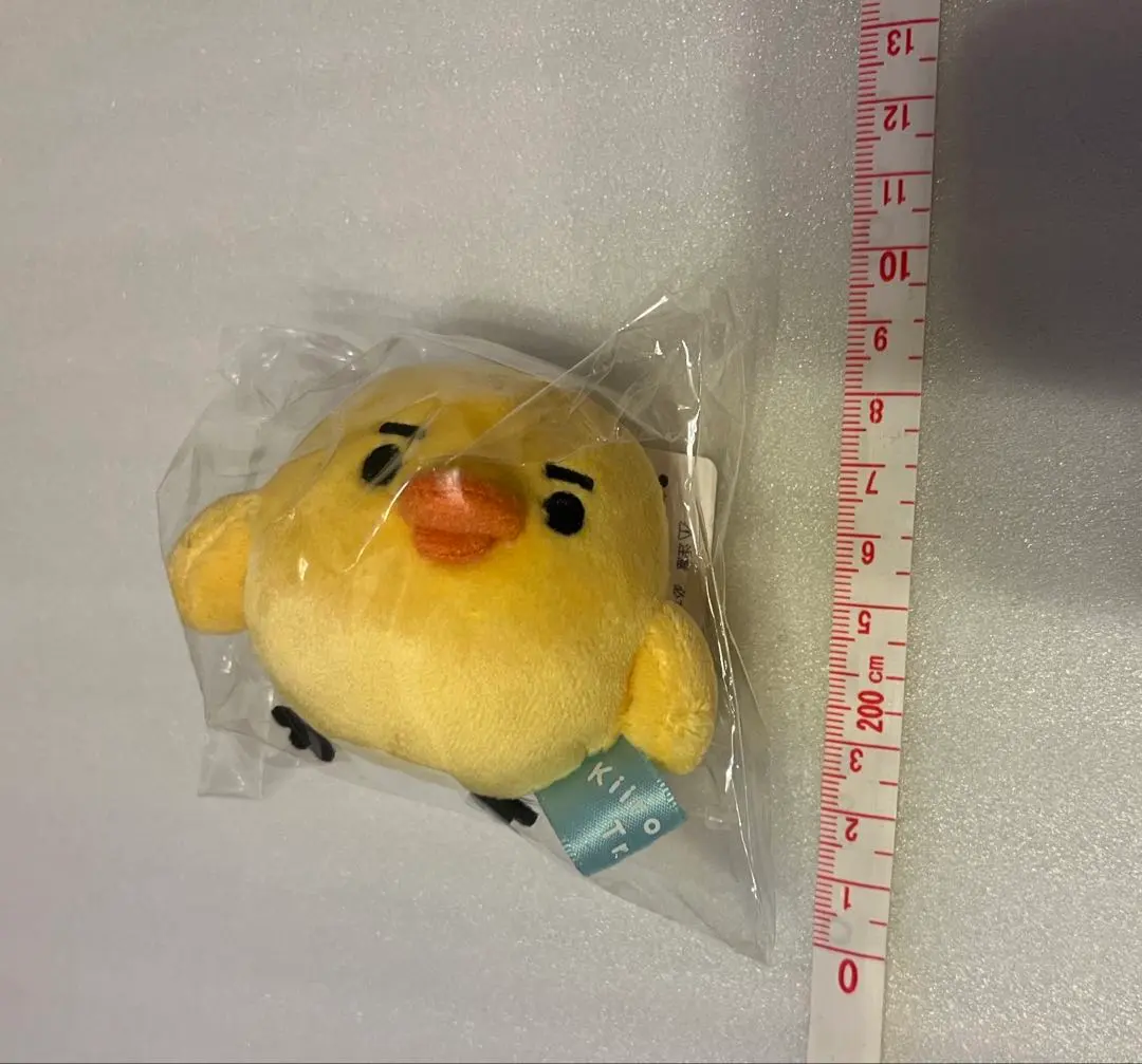 2026年最新】キイロイトリ まゆげの人気アイテム - メルカリ