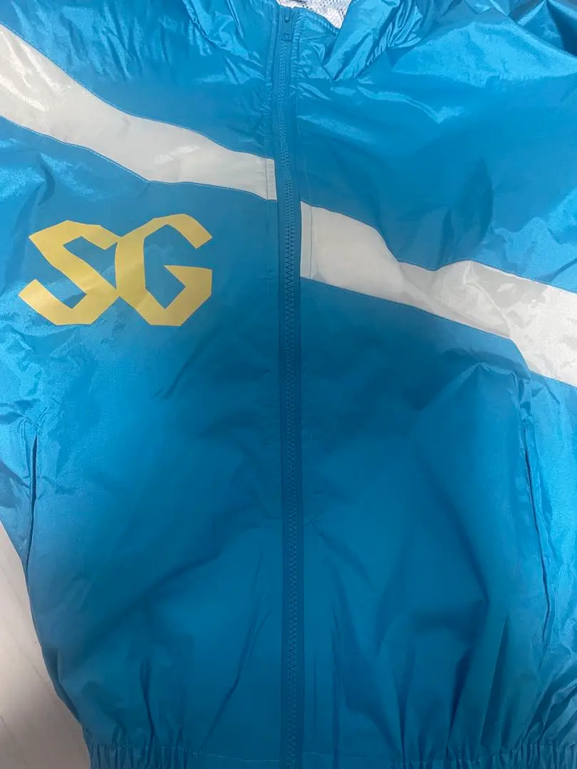 2026年最新】峰竜太 ジャンパーの人気アイテム - メルカリ