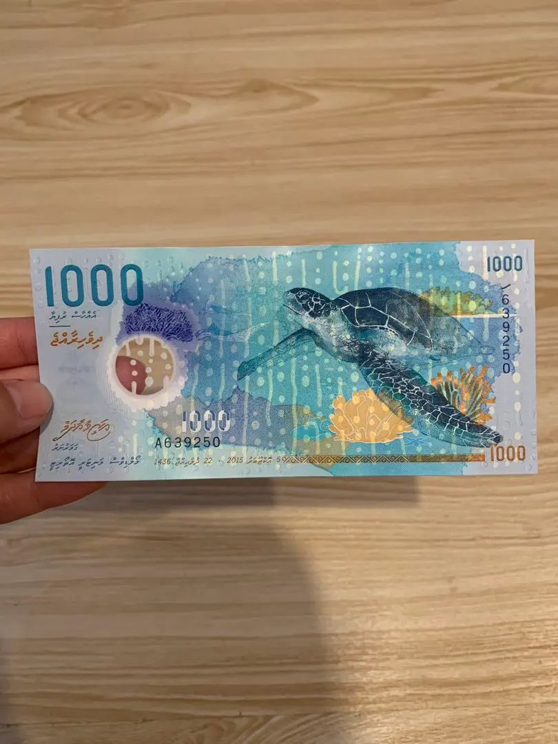 2026年最新】ウミガメのお札の人気アイテム - メルカリ