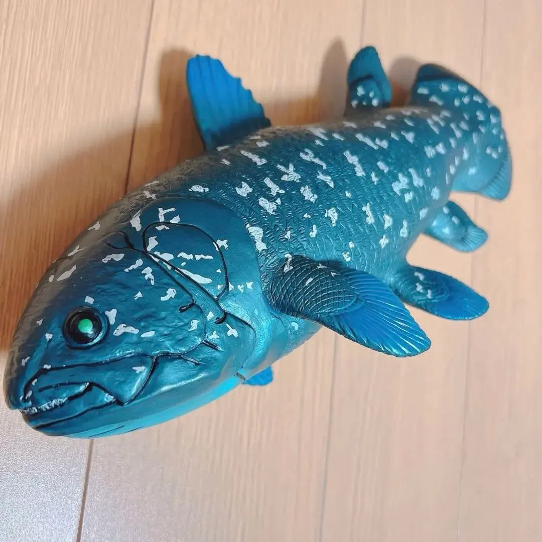 2026年最新】シーラカンス 化石魚の人気アイテム - メルカリ
