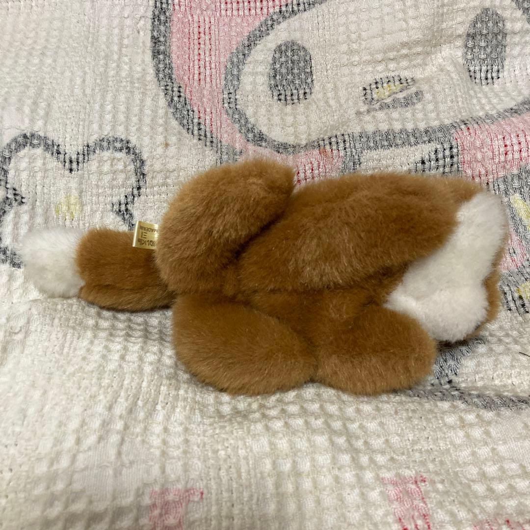 ぬいぐるみの三英 キタキツネ きつね ぬいぐるみ 2コセット 中古品