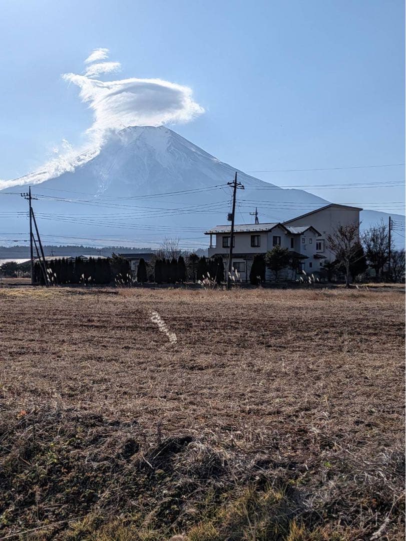  楽天市場】adidas Skateboarding ZX 8000 X METROPOLITAN【アディダス