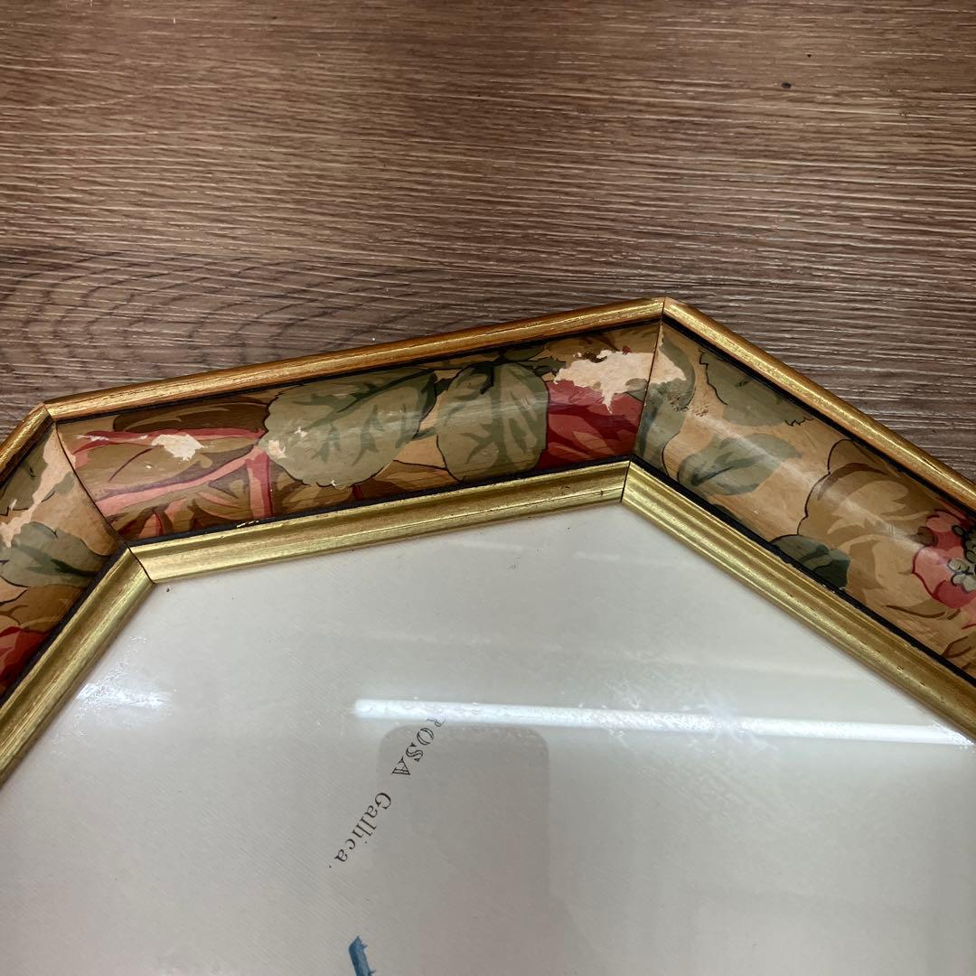 イタリア製】ボタニカルアート 八角形 額縁 額装 薔薇 ロサ・ガリカ 花