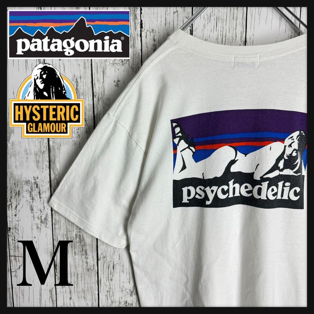 激レアコラボ】 ヒステリックグラマー パタゴニア 入手困難 Tシャツ 即