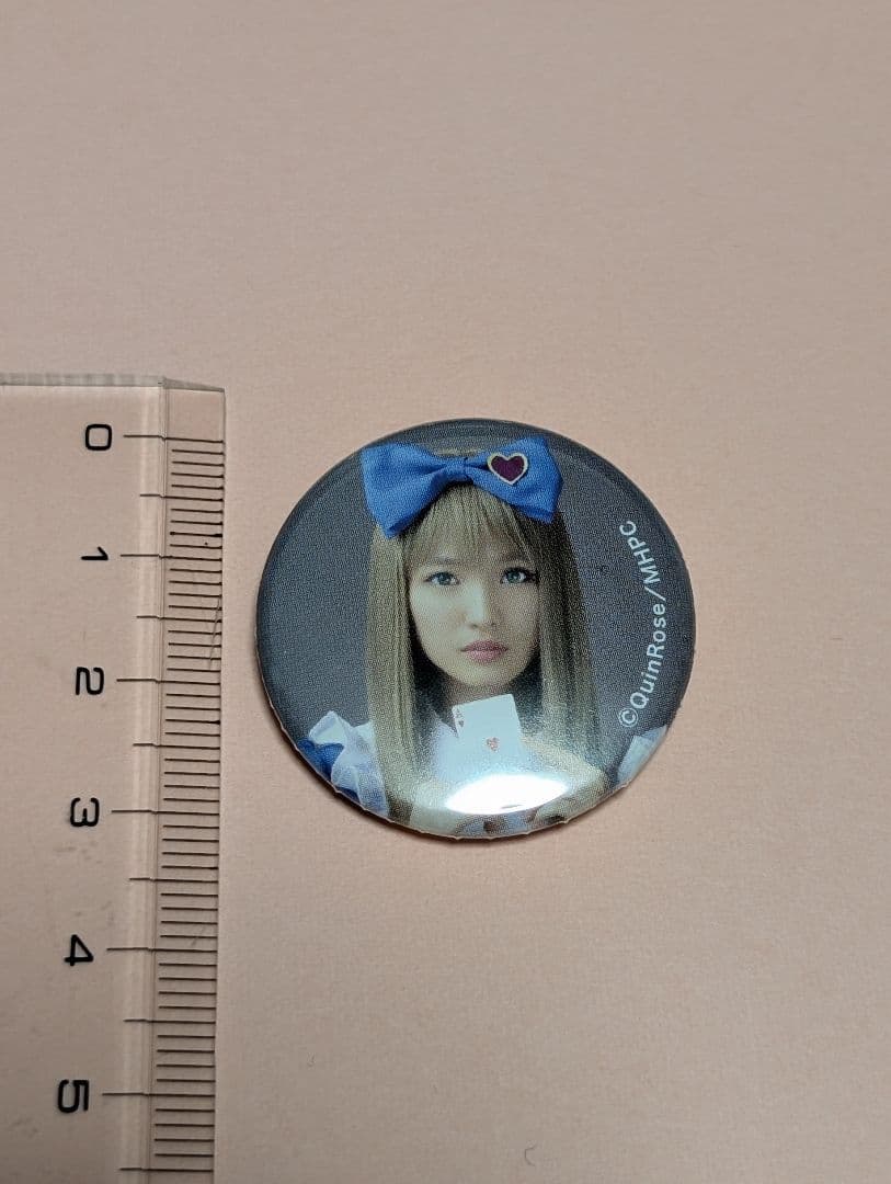 QuinRose ミュージカル ハートの国のアリス ミニ缶バッジ7個セット