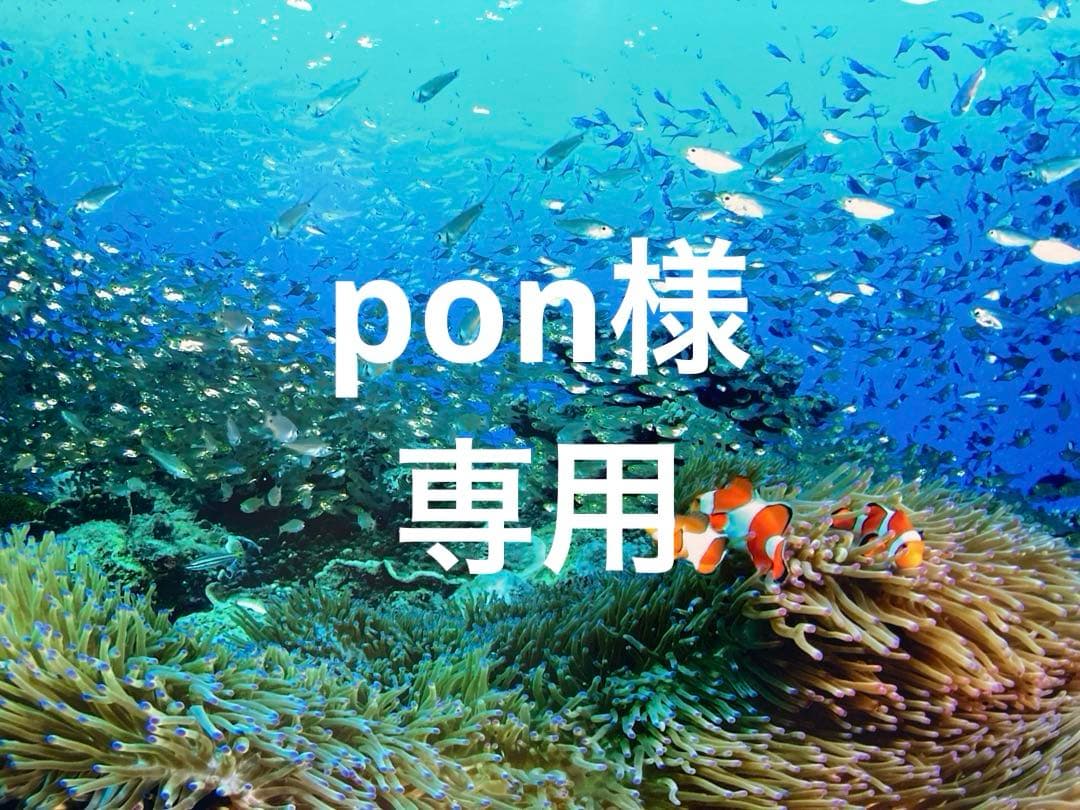 エンビロンルーセントプレップローション　ブライトセラム