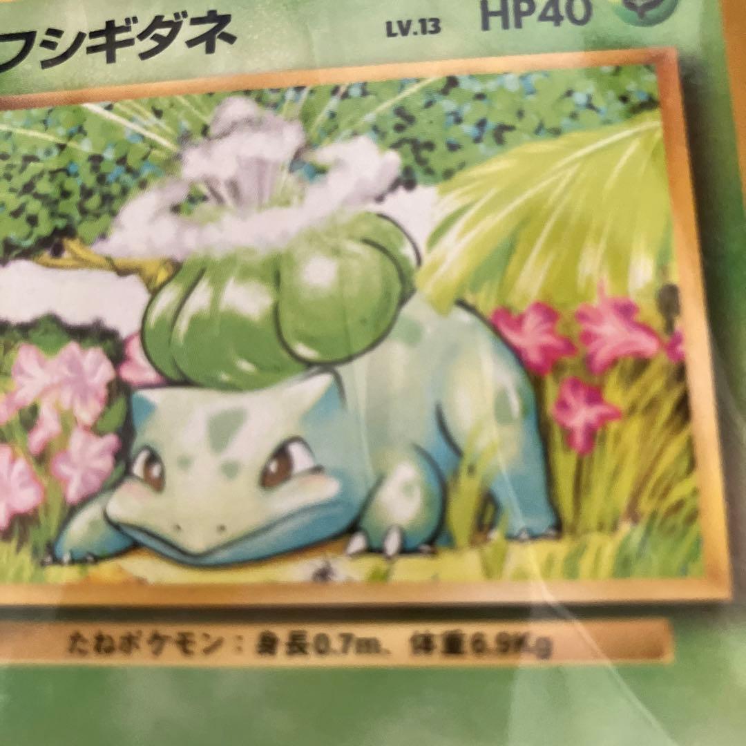 ポケモンカード フシギダネ初期No.001 - メルカリ