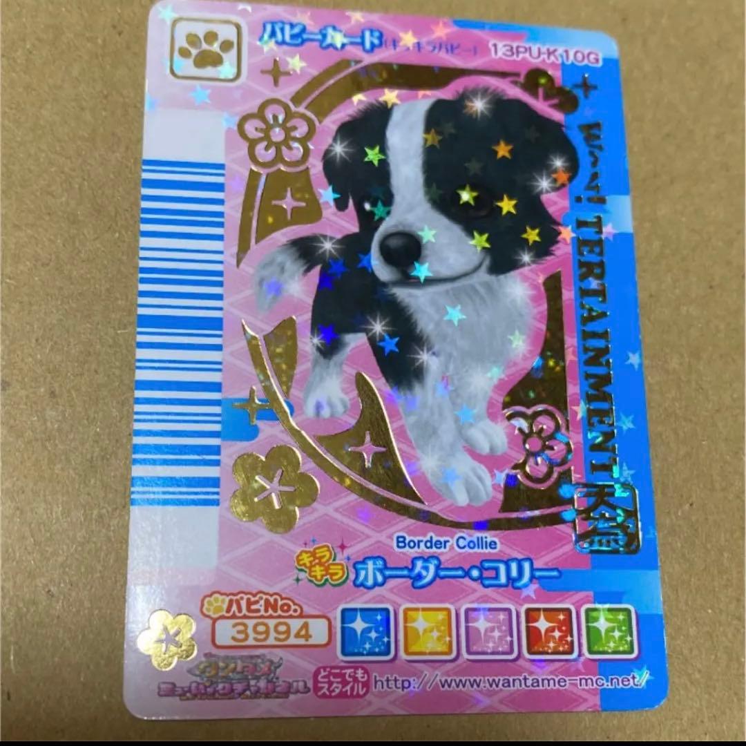 激レア】ワンタメ ゴールド パピーカード ボーダーコリー ワンタメ