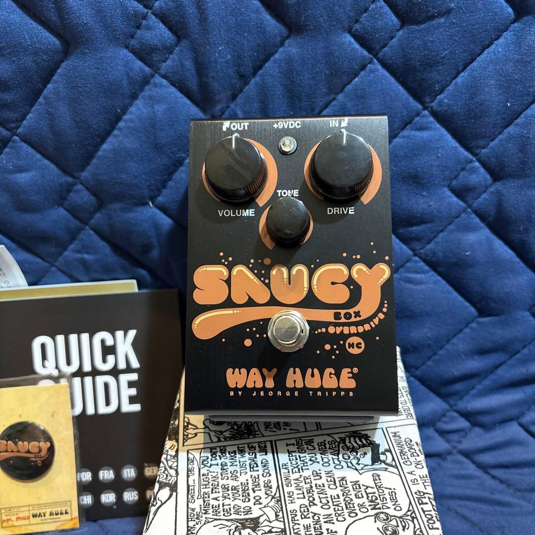 ギター way huge saucy box HC limited edition