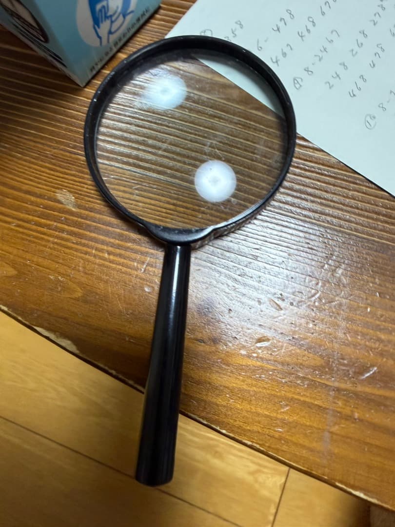 拡大鏡 約7cm レンズ 黒ハンドル