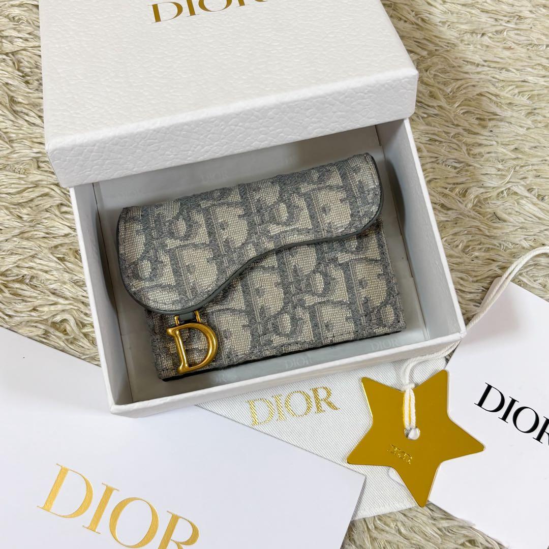 【未使用】クリスチャンディオール 名刺入れ オブリーク トロッター柄 サドル