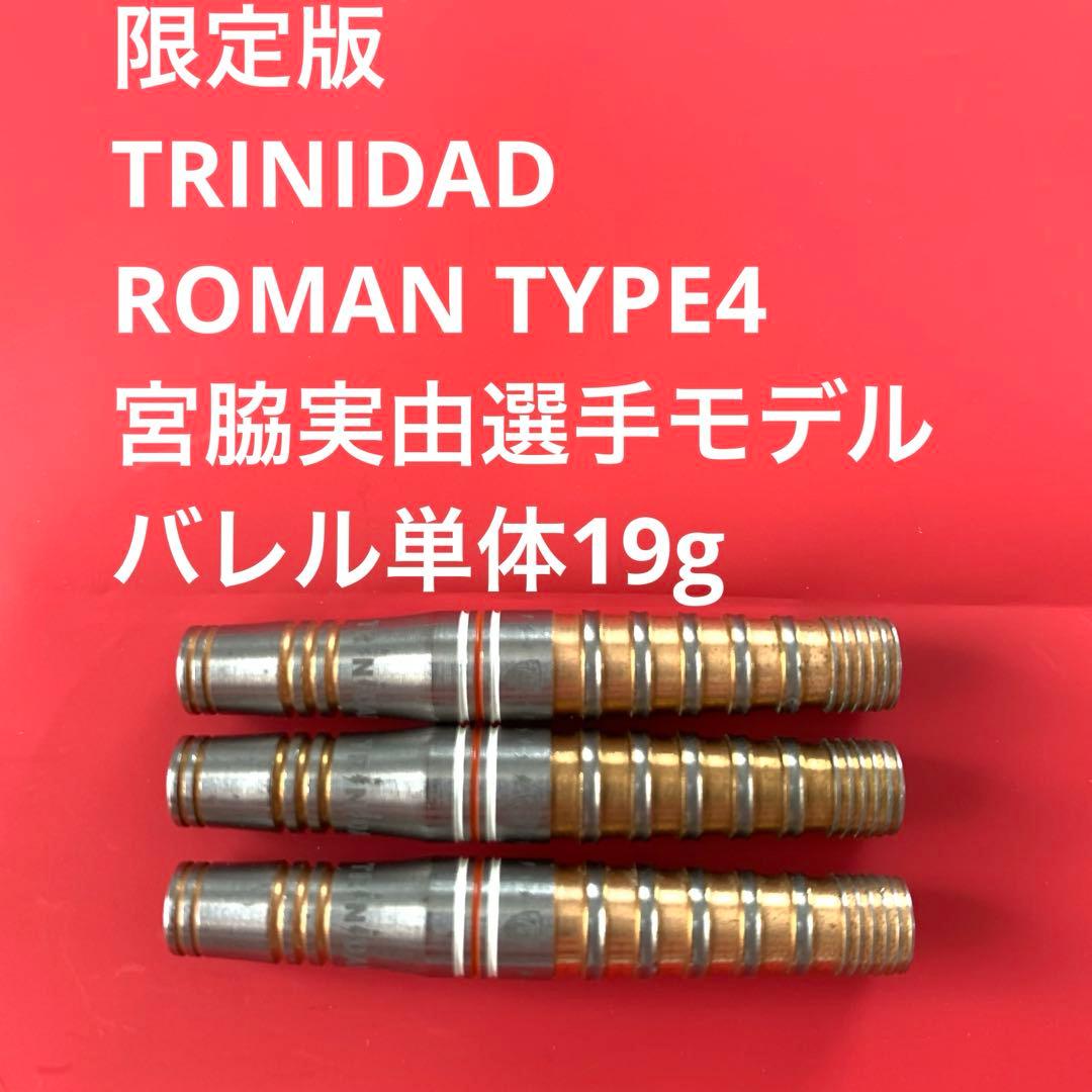 美品TRINIDAD宮脇実由Romanローマン4限定版トリニダード定価14800 トリニダード ローマン4 宮脇実由 初回限定 TRiNiDAD Roman4 LIMITED
