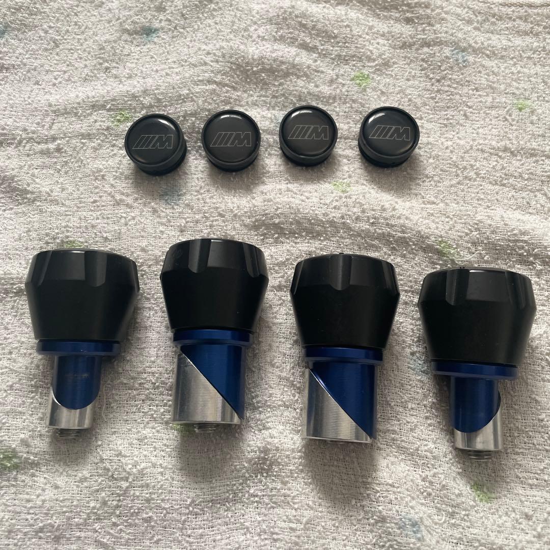  M1000R Mアクスルプロテクター（S1000RR）