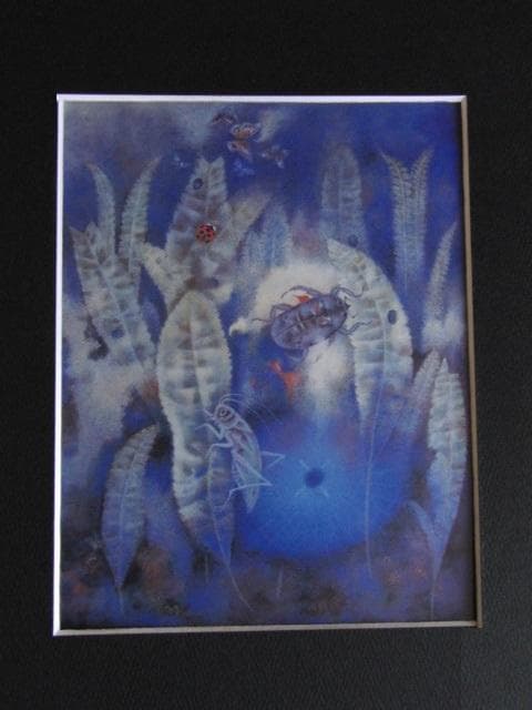 工藤甲人、【草と昆虫】、希少な額装用画集より、新品額装付