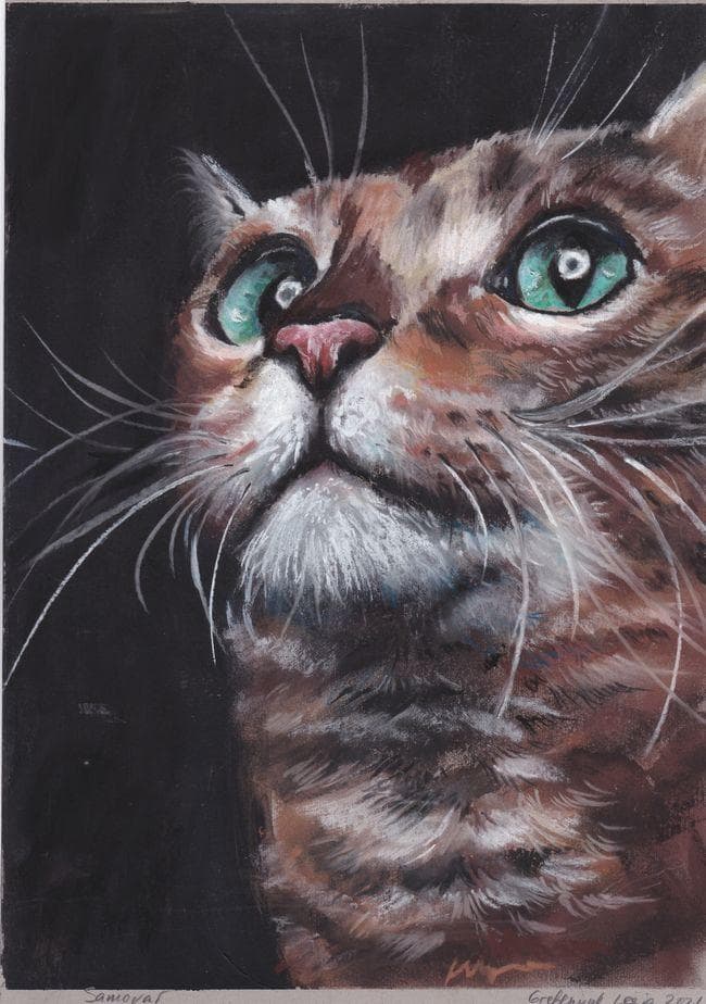 イラスト原画　見上げる表情がとても可愛らしい「猫の関心事」