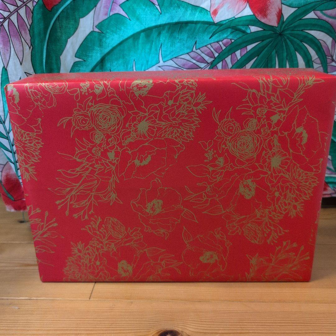 ドモホルンリンクル　ハーフ4点セット新品プレゼント