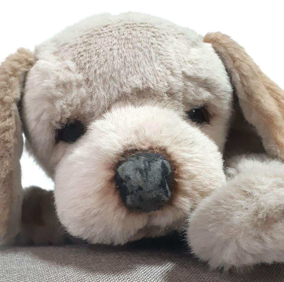 【美品】ジョックライン　JOCKLINE社　当時物　イタリア製　犬　ゴールデン 美品】ジョックライン JOCKLINE社 当時物 イタリア製 犬 ゴールデン 美