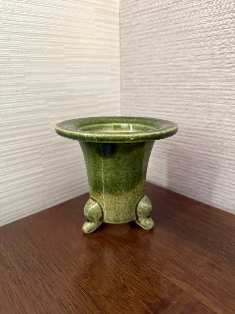 陶器 万年青 楽天市場】New!! 万年青(オモト) あけぼのおもと 白色貫入陶器鉢に植え