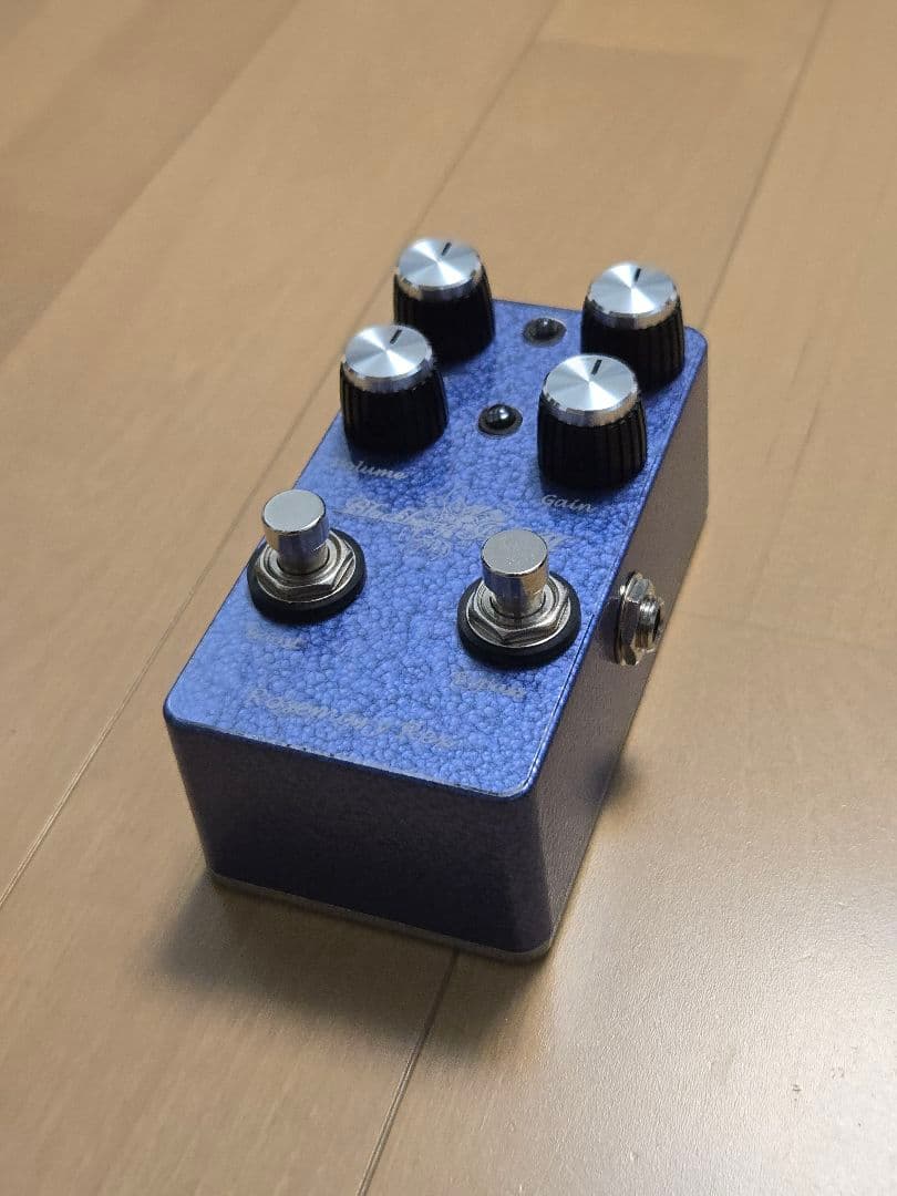 ギター Blackberry JAM Rosemary Rex