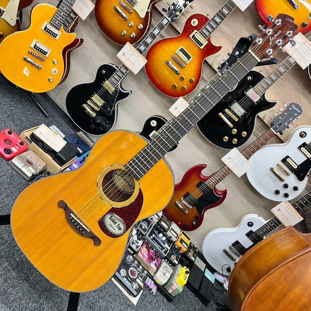 エレアコ化オプション11068James JS-1VN アコースティックギター