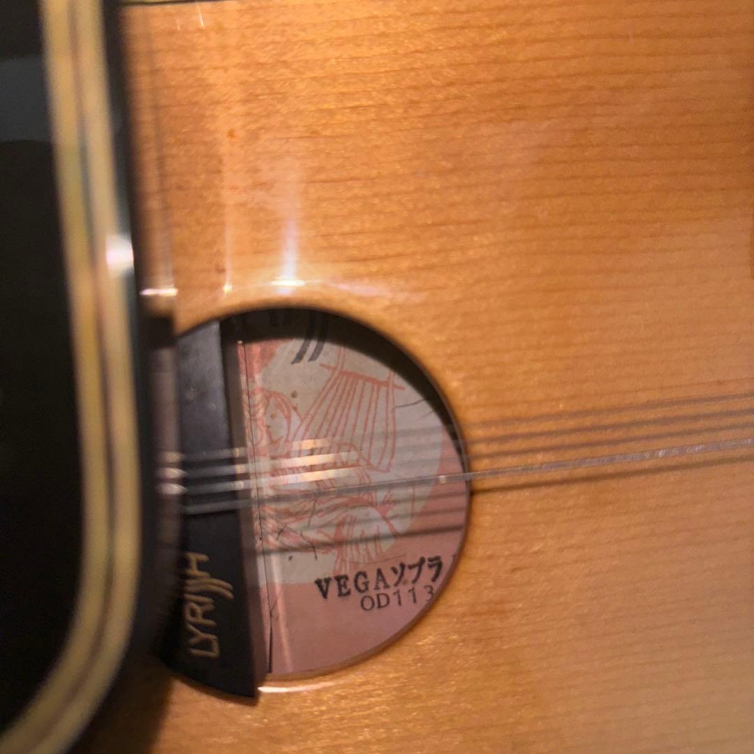 LYRISH ライリッシュ VEGA ベガ ソプラノ エレキ大正琴 OD113 - メルカリ