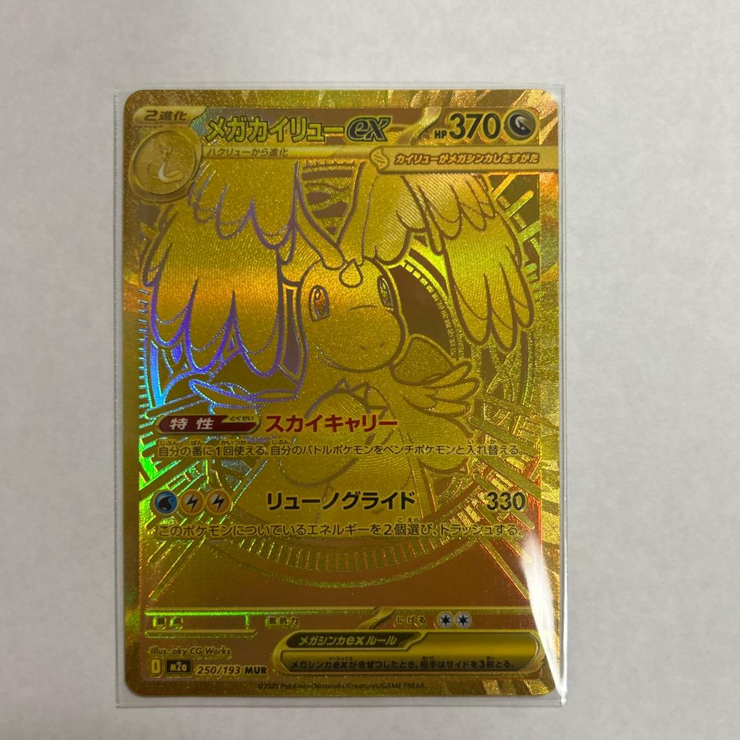 乾*杯様 メガカイリューEX