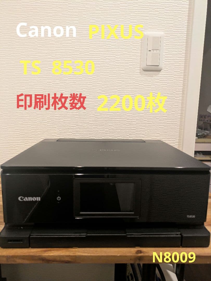 Canon PIXUS TS 8530 印刷枚数 2200枚 管 N8009