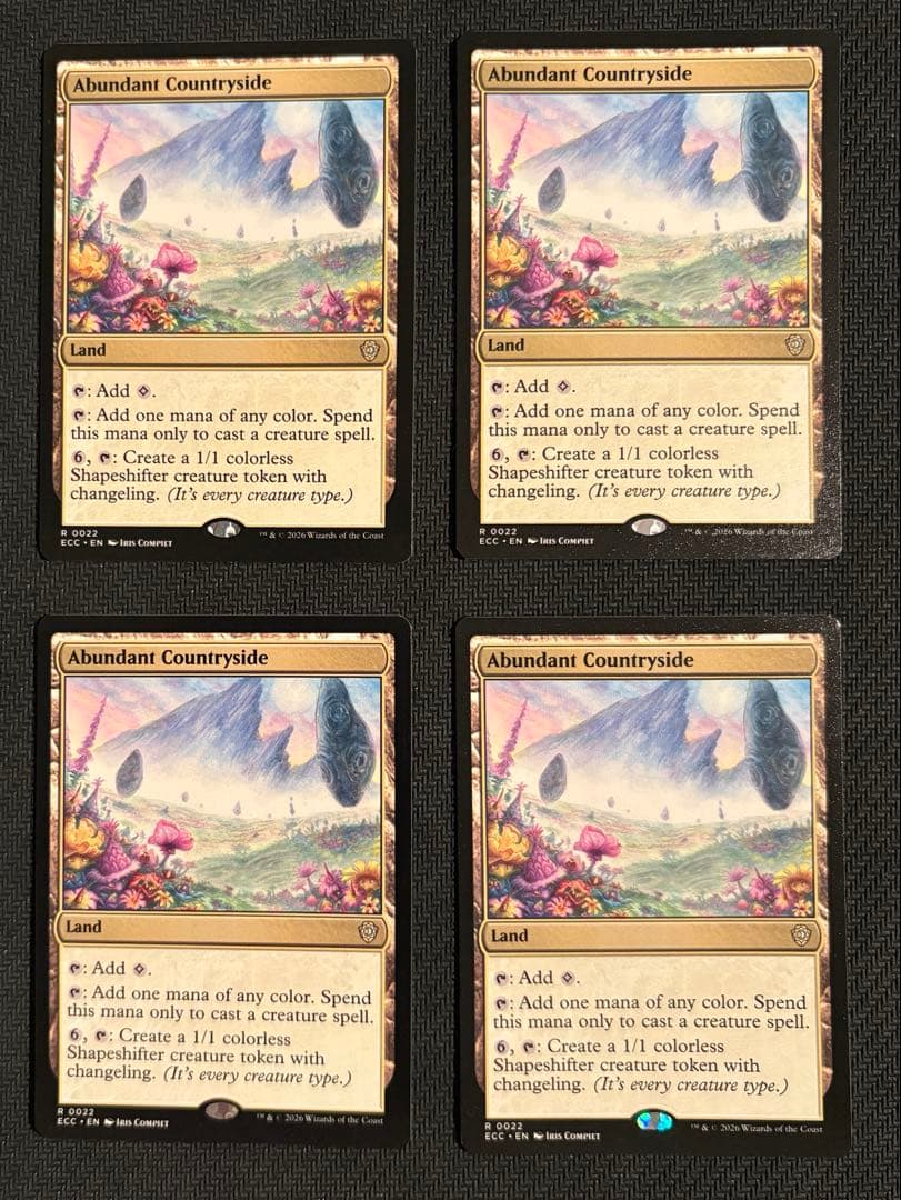 Abundant Countryside 4枚セット ③ 四万十くりサブレ（10枚入り） - 土佐せれくとしょっぷ てんこす