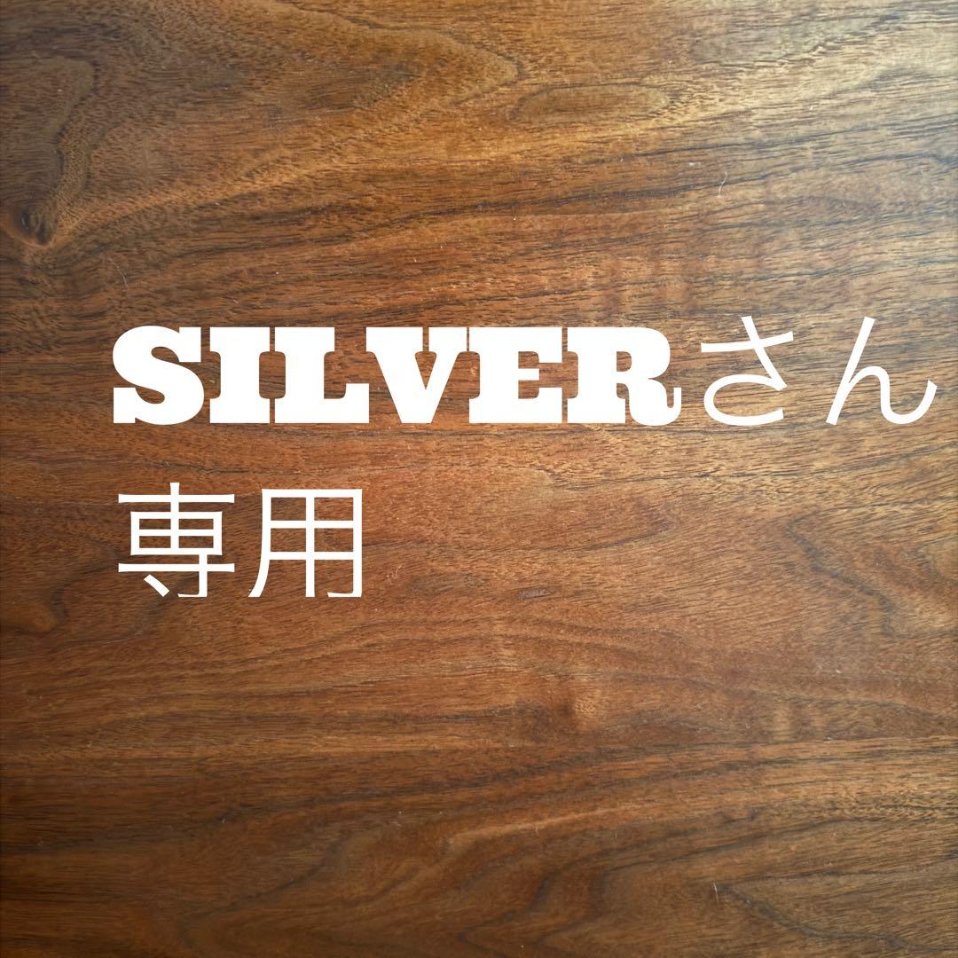 SILVERさん　専用　2点 TRICK STAR（トリックスター） パワーインテークダクト専用メッシュ