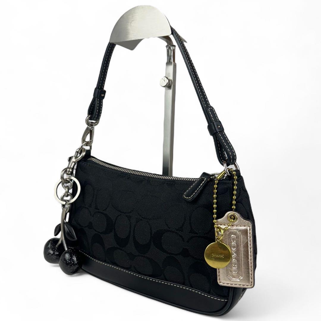 【極美品】コーチ アクセサリーポーチ チェリーチャーム 黒 6094 C5